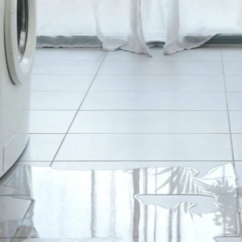 Appliance Leak Cleanup in Carrollton, GA